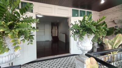 Main entrance with large potted plants