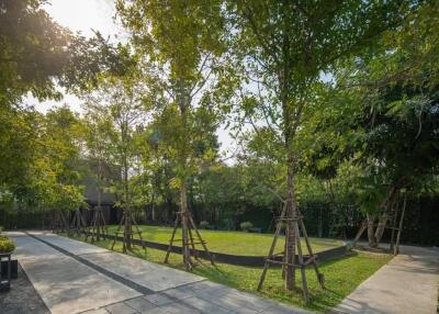 Spacious garden with trees and walking path