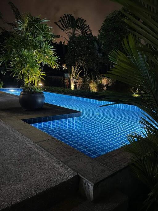 Outdoor swimming pool at night