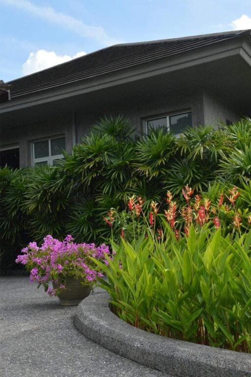 Front yard garden with lush greenery and flowers