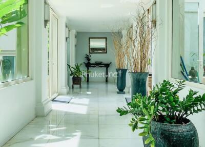 Bright and modern hallway with large windows and indoor plants
