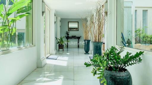 Bright and modern hallway with large windows and indoor plants