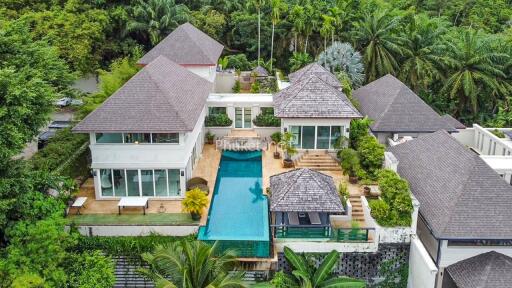 Aerial view of a luxurious villa with multiple buildings and a large swimming pool surrounded by lush greenery