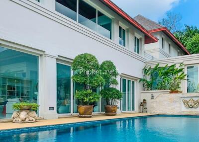 Exterior view of a modern house with a swimming pool and garden plants