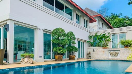 Exterior view of a modern house with a swimming pool and garden plants