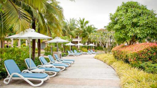 Outdoor lounge area with sunbeds and green surroundings