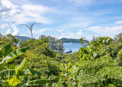 Scenic outdoor view with lush greenery and distant ocean