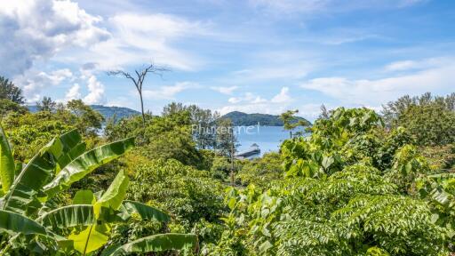 Scenic outdoor view with lush greenery and distant ocean