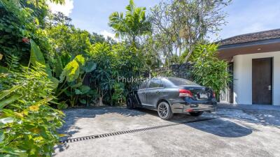 Driveway with car and lush greenery