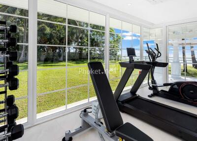 Home gym with exercise equipment and garden view