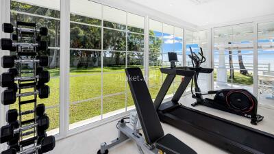 Home gym with exercise equipment and garden view