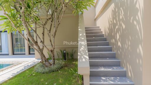 Outdoor area with stairs and greenery