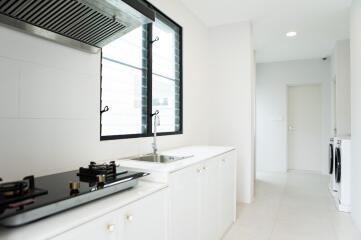 Modern kitchen with stove and sink