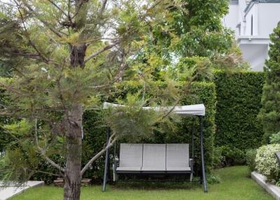 Outdoor garden with a tree and swing bench