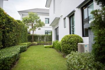 Modern outdoor garden area with green lawn and hedges