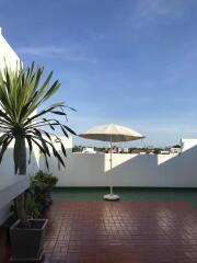 Spacious terrace with a large umbrella and plants