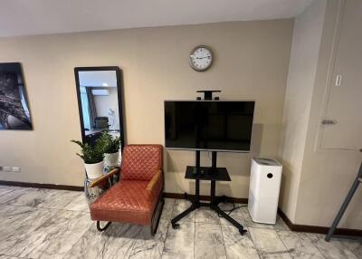 Living room with television, chair, and plants