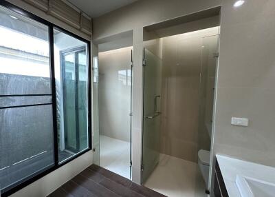 Modern bathroom with glass shower and window
