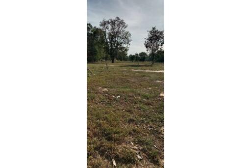 ขายที่ดินแปลงใหญ่ - Land for Sale at Surin