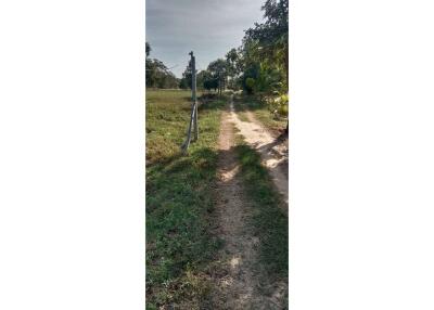 ขายที่ดินแปลงใหญ่ - Land for Sale at Surin