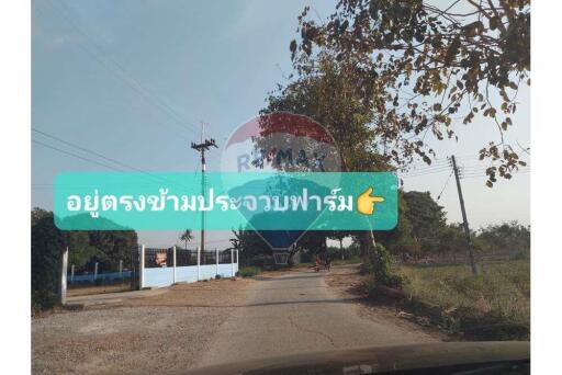 ขายที่ดิน กำแพงแสน - Land for sale at Kamphengsean Nakhon pathom