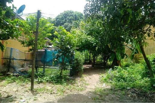 Land for sale at rayong