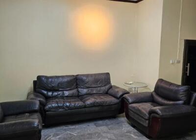 Living room with leather sofas and modern lighting