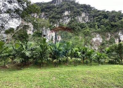 Land for sale in knong thale