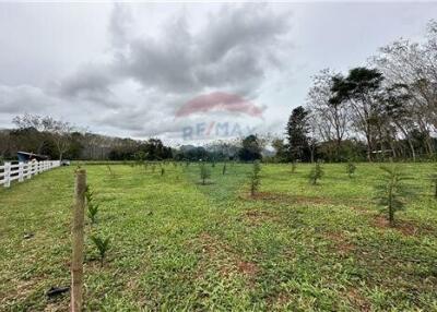 Land for sale in knong thale