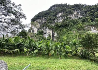 Land for sale in knong thale