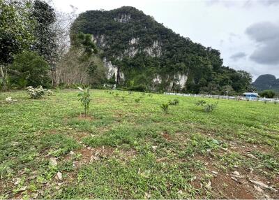 Land for sale in knong thale