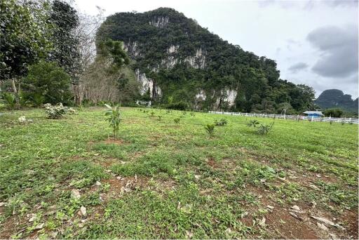 Land for sale in knong thale