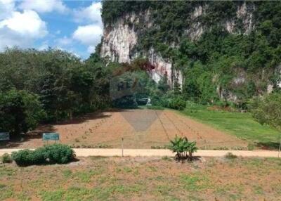 Land for sale in knong thale