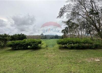 Land for sale in knong thale