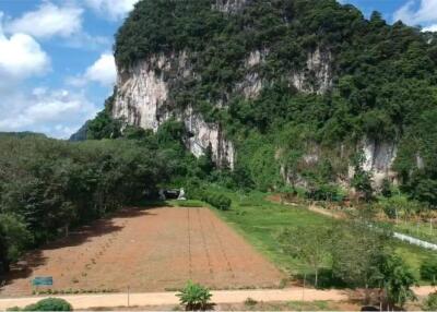 Land for sale in knong thale