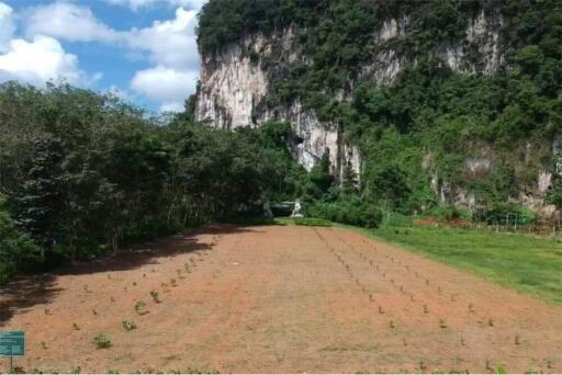 Land for sale in knong thale