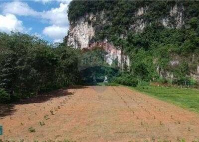 Land for sale in knong thale