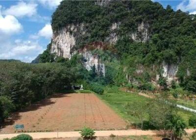 Land for sale in knong thale