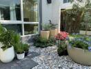 Outdoor garden area with various potted plants and greenery
