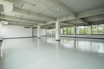 Large empty room with windows