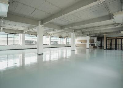 Spacious empty commercial space with large windows