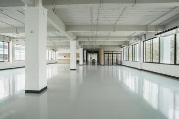 Spacious commercial area with large windows and polished floors