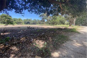 Land for sale walking distance to the beach