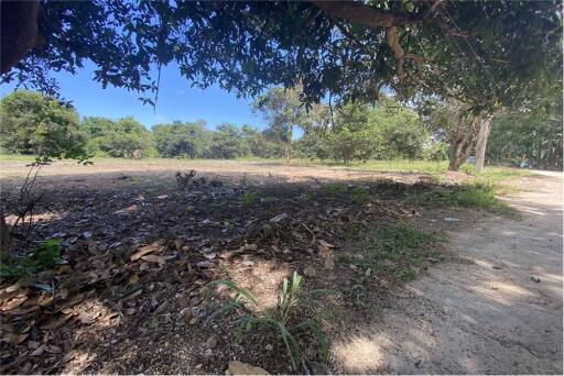 Land for sale walking distance to the beach