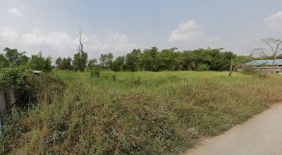 Vacant land with overgrown vegetation