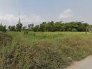 Vacant land with overgrown vegetation