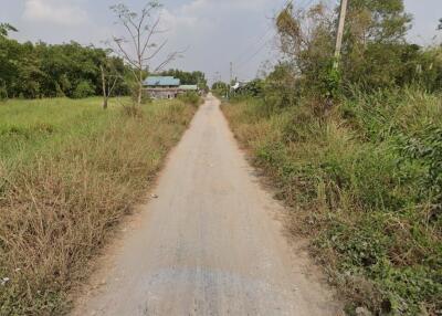 Narrow gravel road leading to a distant property with vegetation on both sides