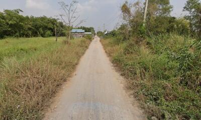Narrow gravel road leading to a distant property with vegetation on both sides