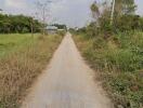 Narrow gravel road leading to a distant property with vegetation on both sides