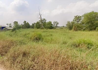 Vacant plot with greenery